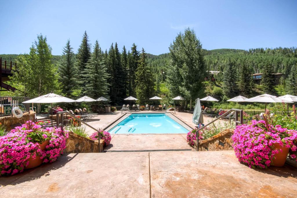 87916579
